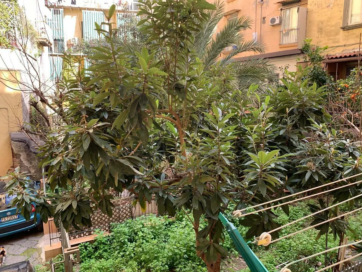 Apartment B&B Ninetta Neapel